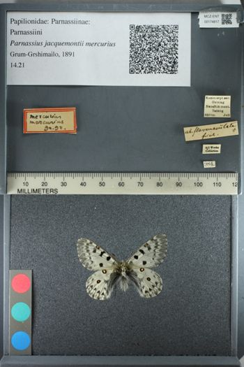 Media type: image;   Entomology 174817